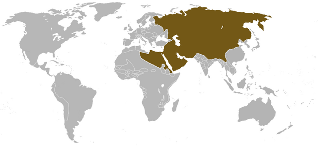 File:At 'Ayn Jalut Map1300.png