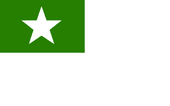 Democraticmovementconcepcion