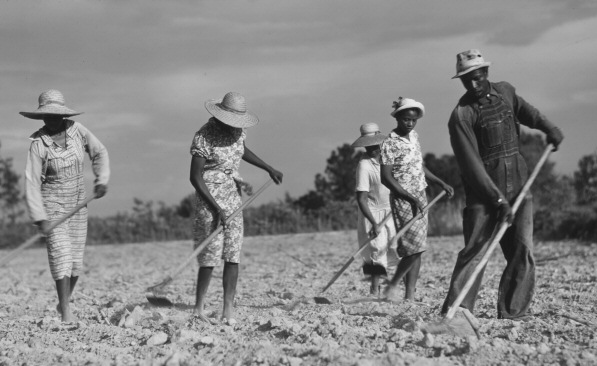 File:Sharecropping.png