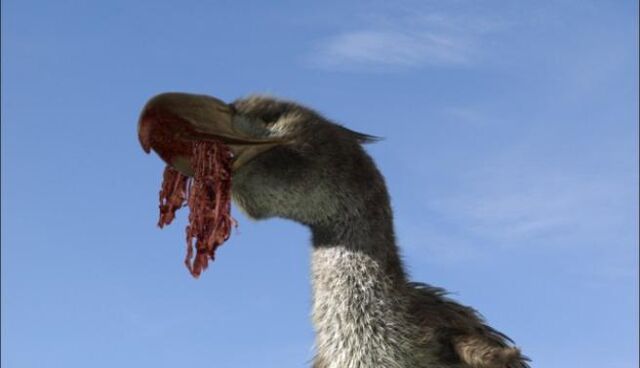 File:Hachet Bird.jpg