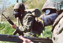 Scandinavian Soldiers WWIII
