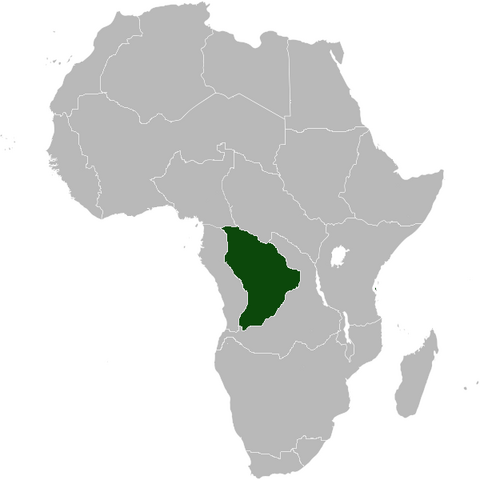 File:WestKongo Africa NW.png