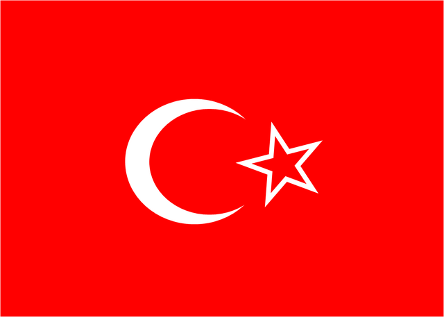 File:Flag of Fezzan.png