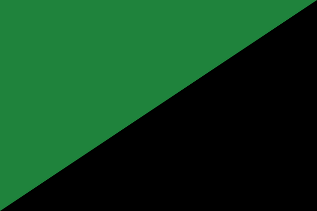 File:Green Army Flag.png