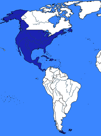 File:Tfcn usa 2.png