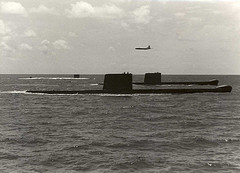 File:6510375803 f5eb6670bd m.jpg
