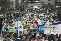 New zeland protest