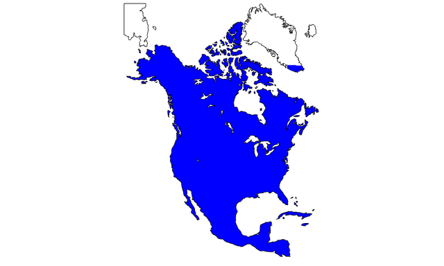 File:13518265942378.png