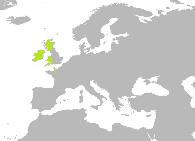 File:BlankMap-Europe-v3-800px.png