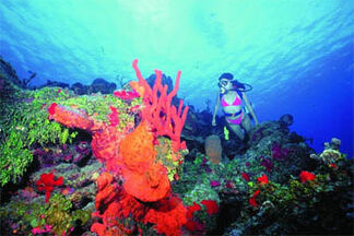Cozumel-0.jpg