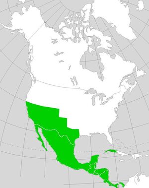 MexicoNapoleon's America