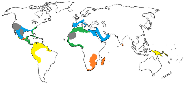File:1750 A.D..png