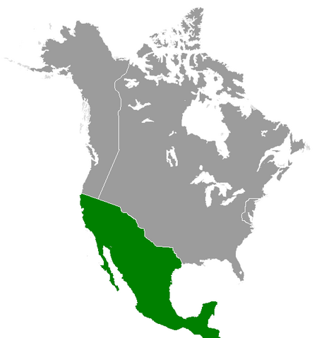 File:Mexico (Great Poland).png