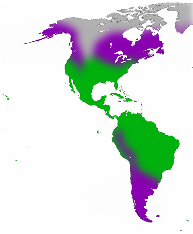 File:Racial Distribution of Slavery in the Americas.png