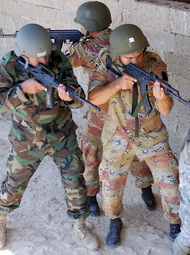 Egyptian forces