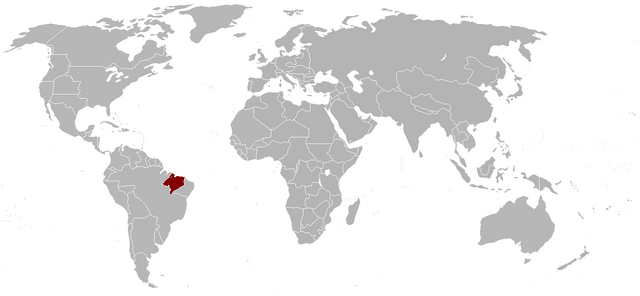 File:Equinoctia.png