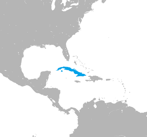 File:Cuba (Cuban Escalation).png