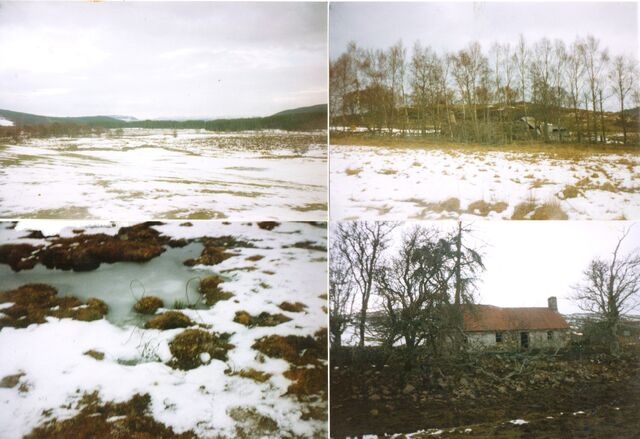 File:AvAr Oulu, Finland.jpg
