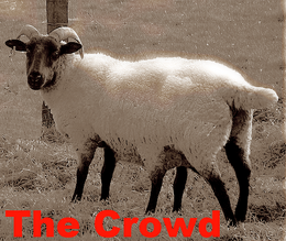 The Crowd (1993)