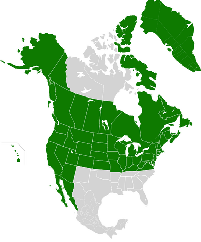File:AMP Map of the United States of America VII.png