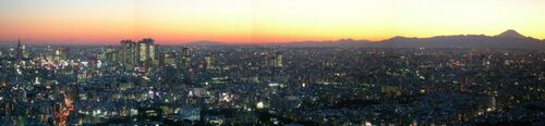 Nanking Panorama