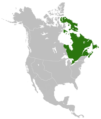 File:SV-VinlandMap.png