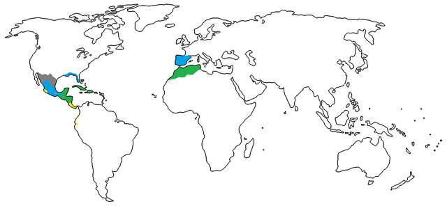 File:1510 A.D..png