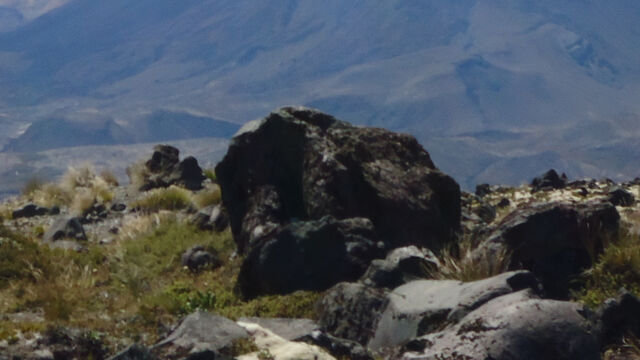 File:Dsc01260 copy.jpg