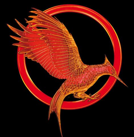 File:Catchingfire1.jpg