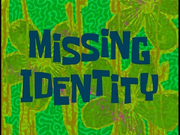 Missing Identity