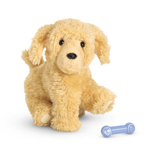 ApricotPoodlePuppy2014