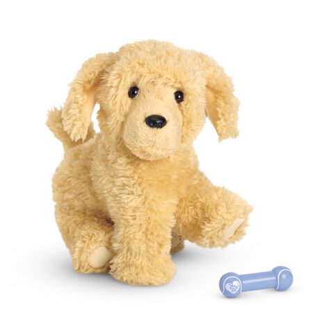 File:ApricotPoodlePuppy2014.jpg