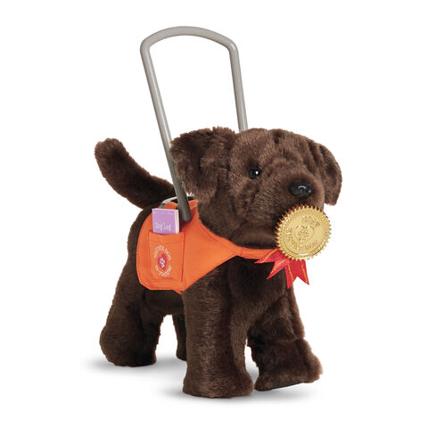 File:ServiceDogVest.jpg