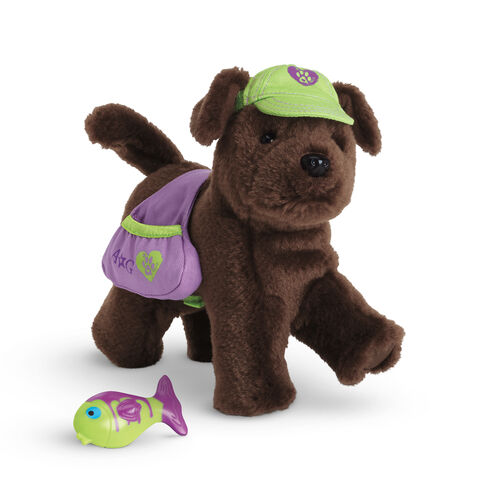 File:PetCampingOutfit.jpg