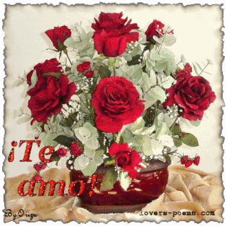 Rosas-con-mensaje-te-amo