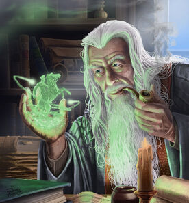 Wizard studying