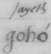 3191-01-goho-1