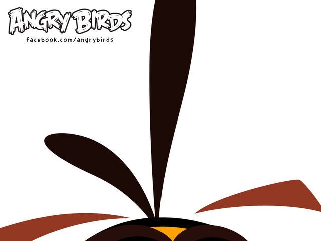File:Rovio-Halloween-Teaser-Globe-Bird-2.jpg
