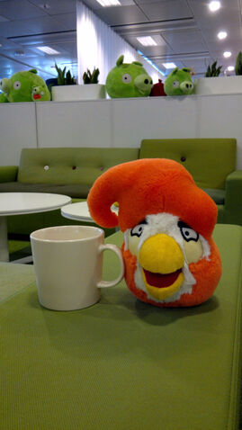 File:Coco Bird.jpg