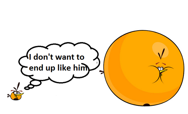 File:2 Orange Birds.png