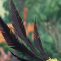 Thumbnail for version as of 20:47, September 30, 2014
