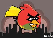 Robin
