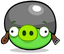 Ross the cute piggy