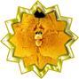 Badge-love-2