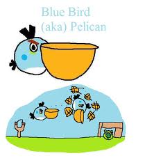 File:Pelican.jpg