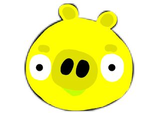 Imagezx