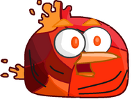 Magma bird