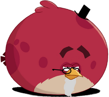 Red Sr