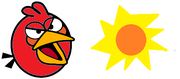 Sun Bird