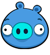 Blue Pig